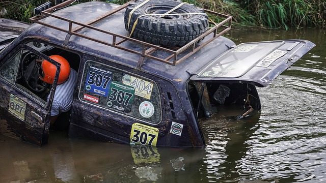 他们对灰熊 他们对灰熊