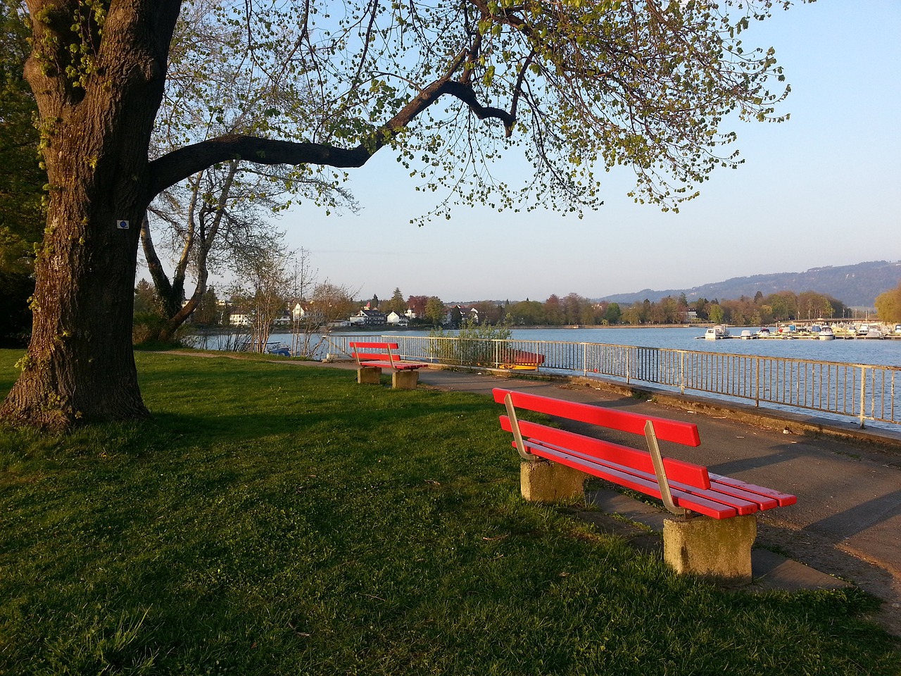 在篮下给球 在篮下给球