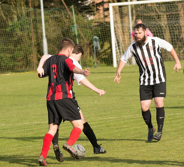 可能是加拉 可能是加拉