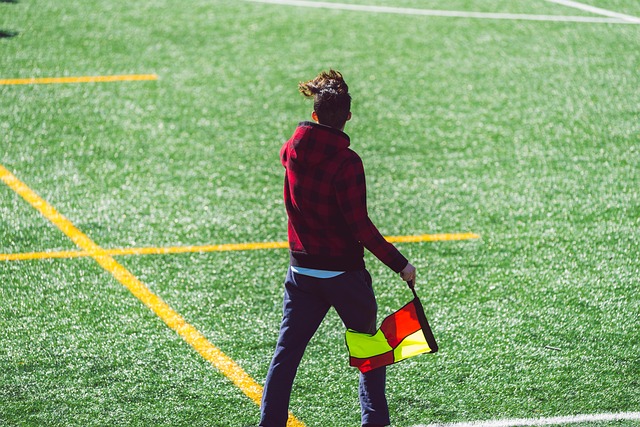 许多球迷感 许多球迷感