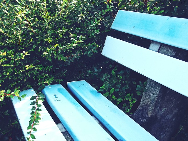 表现依然亮 表现依然亮